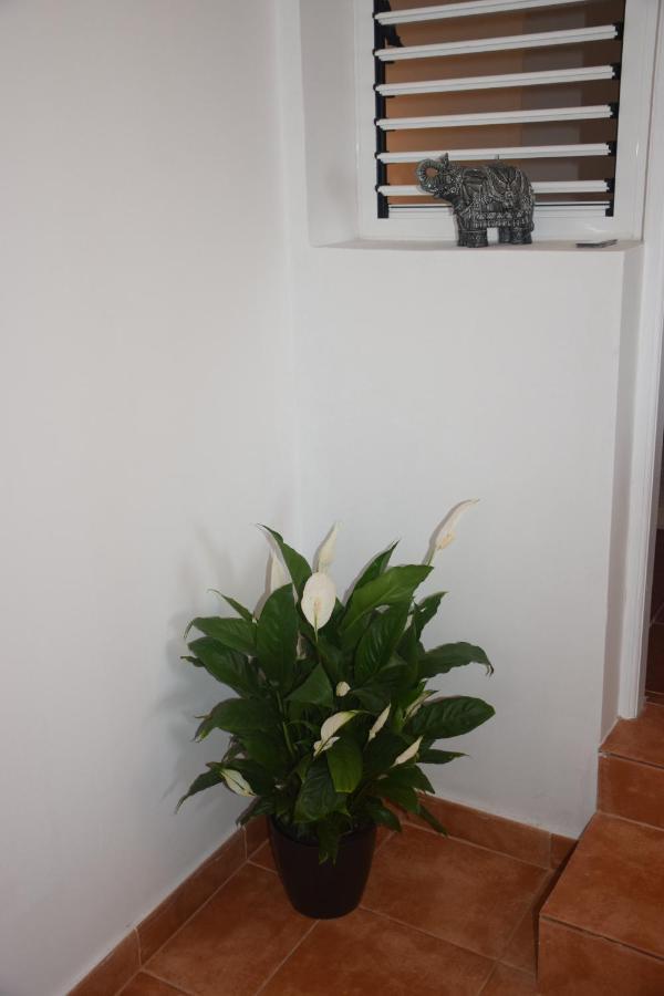 Garoé Acogedor Apartamento Araya  Esterno foto